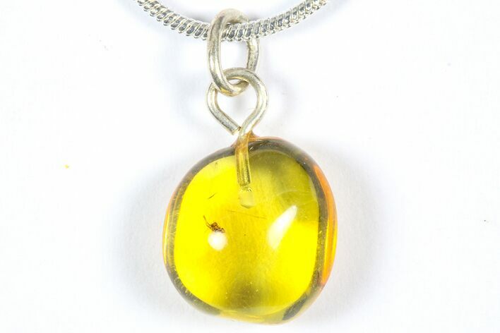 Polished Baltic Amber Pendant (Necklace) - Aphid Nymph! #368999